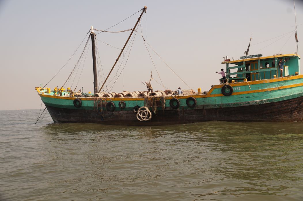 RPG Foundation’s Artificial Reef Initiative to Restore Marine Ecosystem in Mumbai; 210 Artificial Reefs Installed